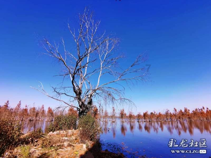 【招聘】春城湖畔高尔夫度假村